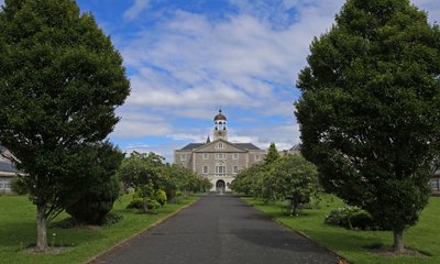 Uitzicht omhoog centrale pad naar het Trafalgar Blok van het voormalige Koninklijke Marinehospitaal, Plymouth door Unbekannt Unbekannt